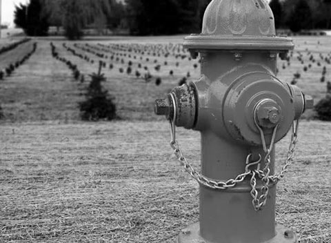 在线永久免费轰炸云呼